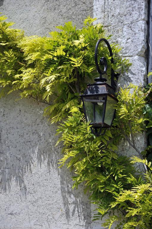 Domaine De Puyrousse Bed & Breakfast Riberac Exterior photo